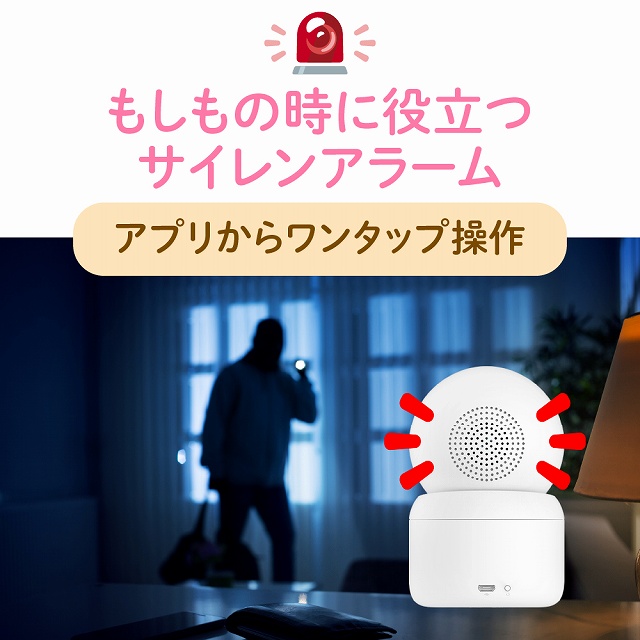 �������̎��ɖ𗧂T�C�����g�A���[��