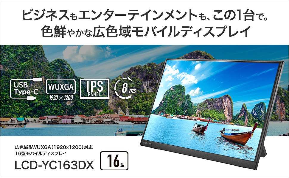 �r�W�l�X���G���^�[�e�C�������g�����̂P��ŁB�F�N�₩�ȍL�F�惂�o�C���f�B�X�v���C