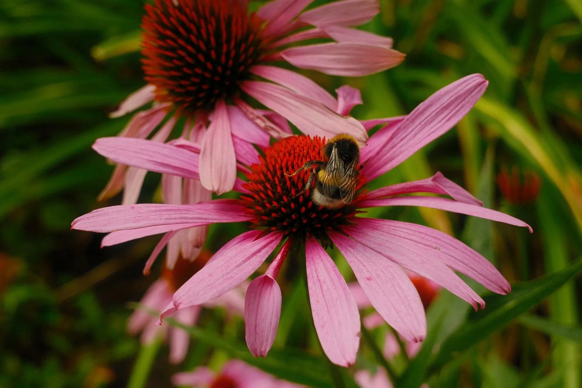 �y�x�m�t�C���� F XC13-33mmF3.5-6.3 OIS�zJess Louise Ellis(UK)