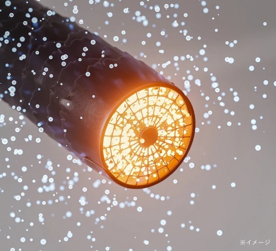 ���ԊO���ŁA���̐c�����߃_���[�W���X�w�A