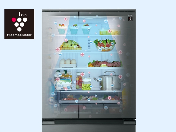 �v���Y�}�N���X�^�[�W���V�����[���[�h