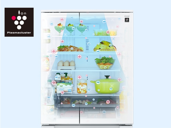 �v���Y�}�N���X�^�[�W���V�����[���[�h