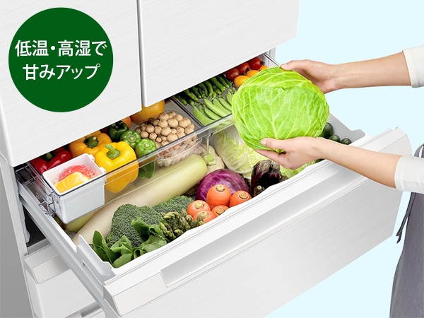 10���ԁ��V�N�ۑ� �ቺ�V���L�b�g��؎� ��