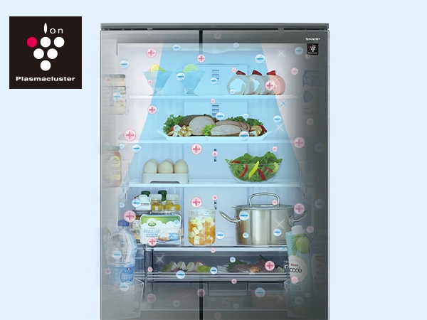 �v���Y�}�N���X�^�[�W���V�����[���[�h