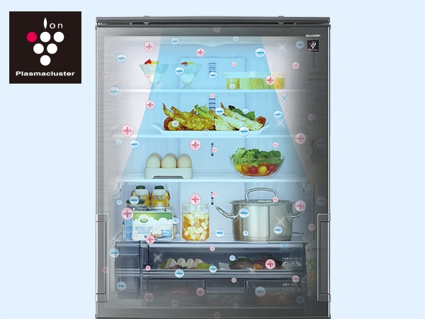 �v���Y�}�N���X�^�[�W���V�����[���[�h