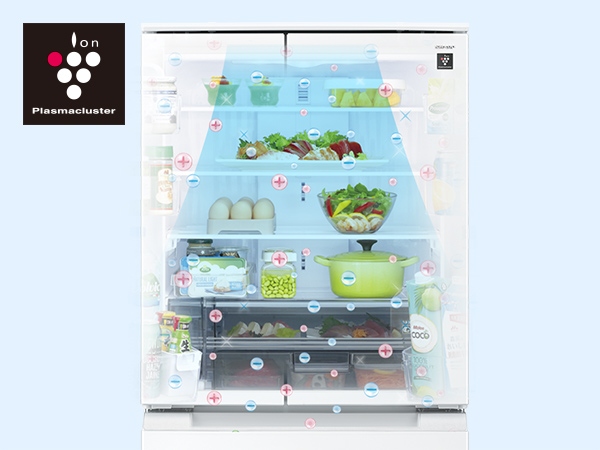 �v���Y�}�N���X�^�[�W���V�����[���[�h