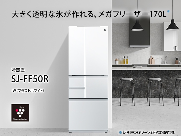 �傫�������ȕX������A���K�t���[�U�[170L