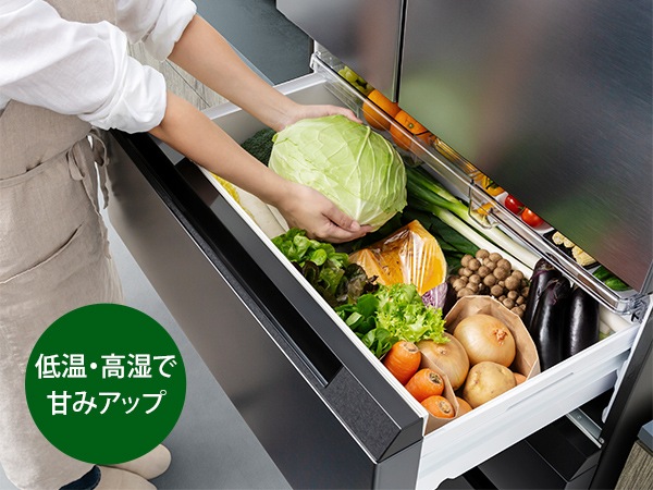 �����V�[���h��14���ԁ��V�N�ۑ� �ቺ�V���L�b�g��؎� �T