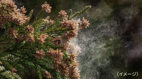 �A����������}��