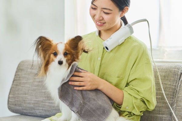 ���肪���R�Ɏg����y�b�g�p�h���C���[