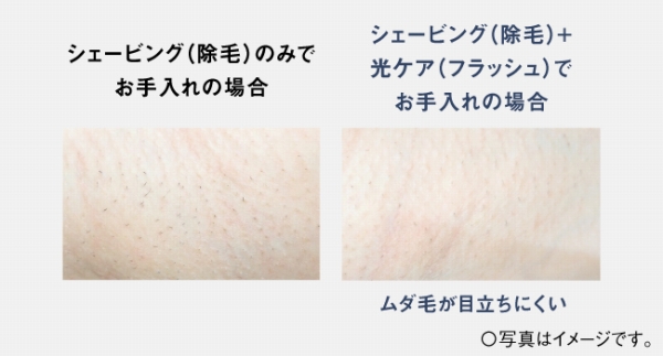 �g���قǃ��_�т�ڗ����ɂ���