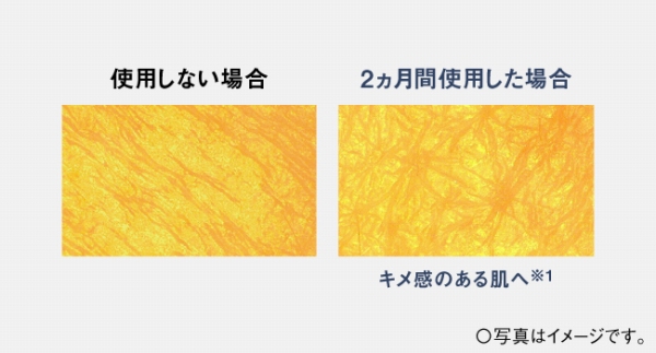 �L�����̂��锧��