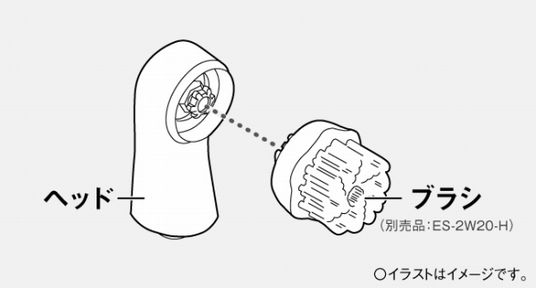 �u���V�̌������\