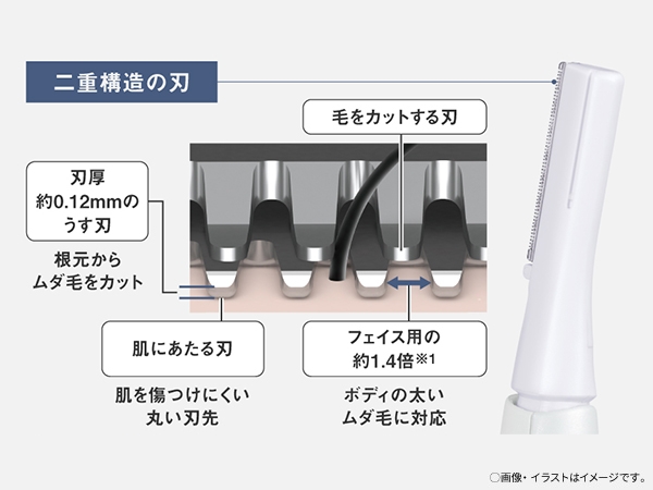 ���ɂ₳�����ۂ��n��ŁA���������ɂ���