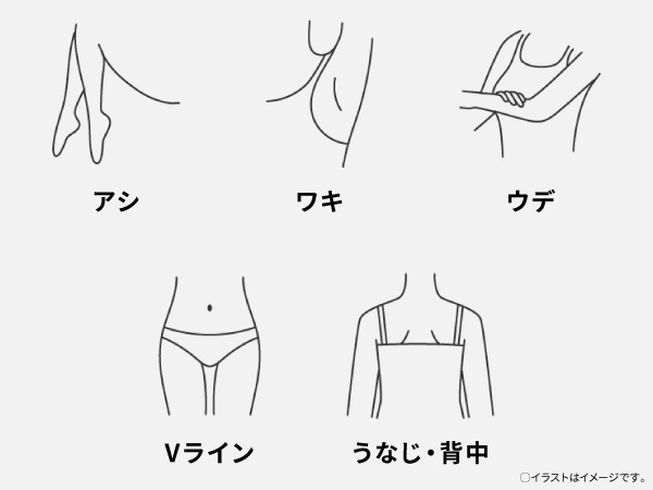 �g�p�\�ȕ���