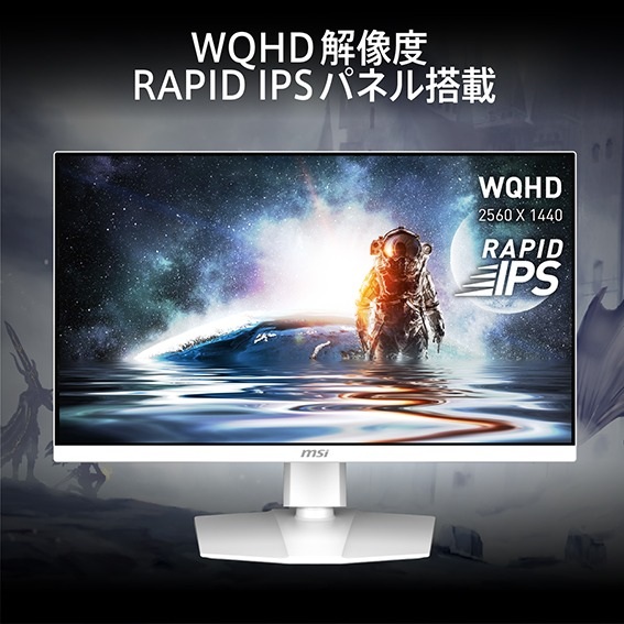 WQHD RAPID IPS�p�l������