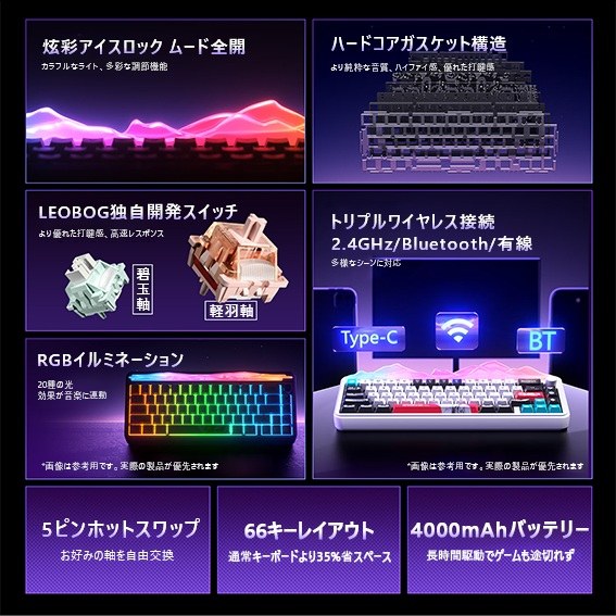 LEOBOG�Ǝ��J���X�C�b�`