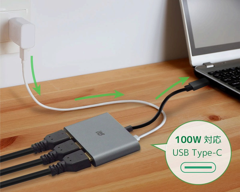 �ő�100W�ŋ��d���Ȃ���g�p�\