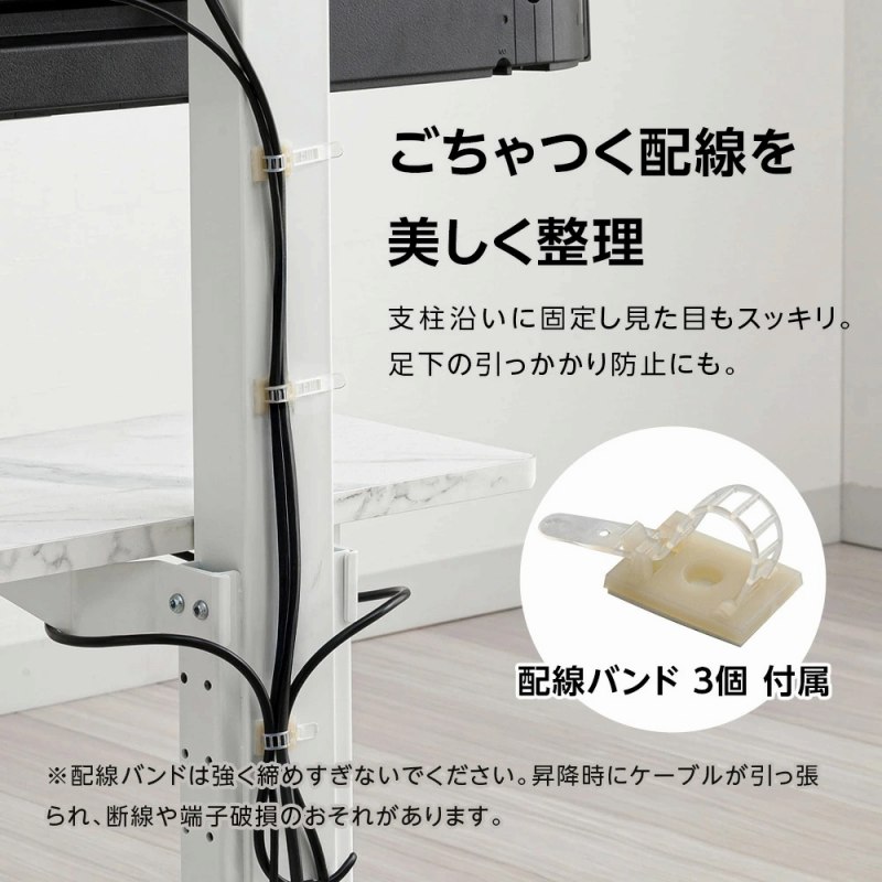 �z�����������萮��