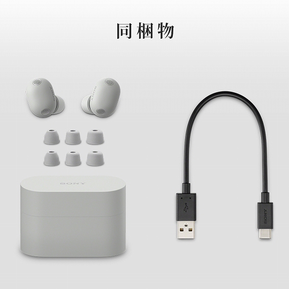 �y�\�j�[ ���S���C�����X�C���z�� WF-1000XM6�z�������ꗗ