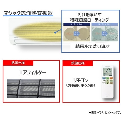 �G�A�R�������𐴌��ɁI