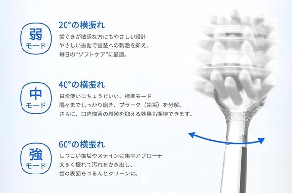 �V���[�Y���I�c���_�u���̃u���V�w�b�h�U��