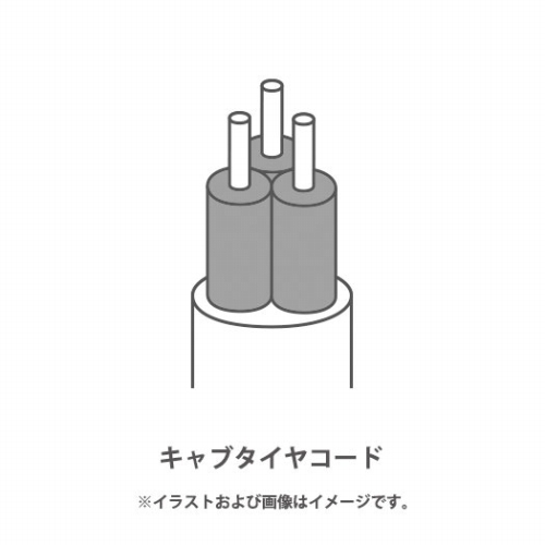 �L���u�^�C���R�[�h�̗p