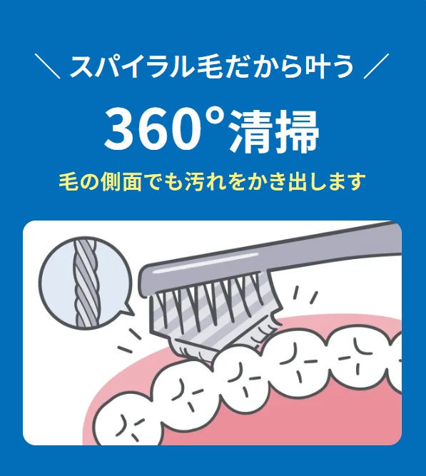 �X�p�C�����т����犐��360&deg;���|