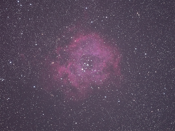 �y�I�[�G���V�X�e�� �V�̎ʐ^�B�e�����J���� OM-3 ASTRO�z�J���[�v���t�@�C�����g�p�ł̎B�e