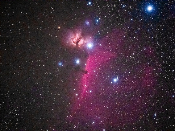 �y�I�[�G���V�X�e�� �V�̎ʐ^�B�e�����J���� OM-3 ASTRO�z�n�C���]�V���b�g�@�\�ƃX�^�b�L���O�����ō��掿��������