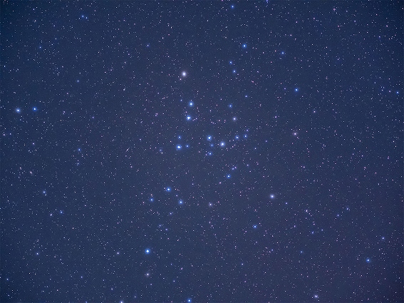 �y�I�[�G���V�X�e�� �V�̎ʐ^�B�e�����J���� OM-3 ASTRO�z�\�t�g�t�B���^�[�ŋP���̋������␯�����ۗ�������