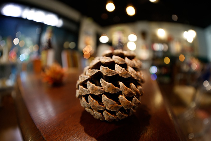 �y�L���m��RF RF7-14mm F2.8-3.5 L FISHEYE STM�z�ŒZ�B�e����0.15m�̃N���[�Y�A�b�v�B�e�A