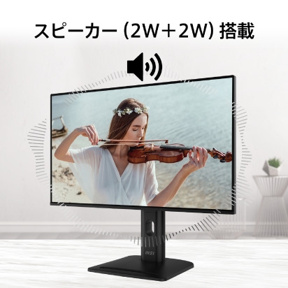 �X�s�[�J�[�i2W �{ 2W�j����