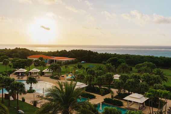 �y�^������ �J���������Y 35-100mm F/2.8�z�����`�ʐ��\�ƖL���ȃ{�P�\��