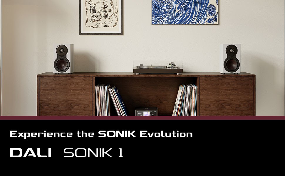 �ɂ߂ăR���p�N�g�A�����đ��˂ȃu�b�N�V�F���t�X�s�[�J�[ SONIK 1