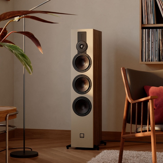 ���Ԃ̂��߂́A�t���b�O�V�b�v�̃p���[