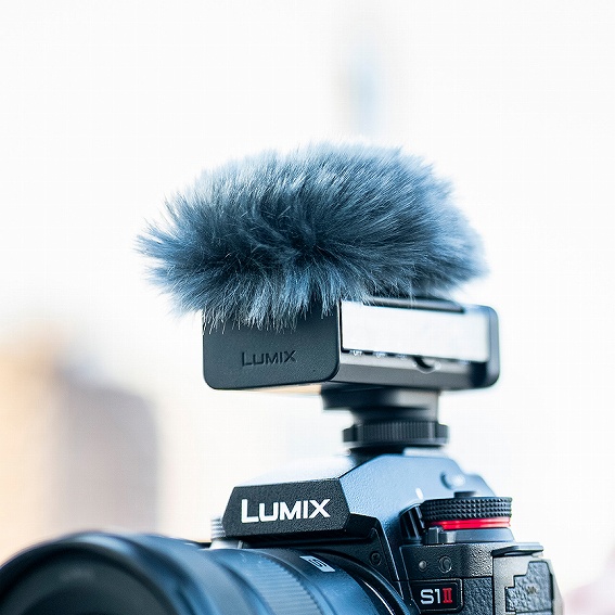 �y�p�i�\�j�b�N �f�W�^���K���}�C�N���z�� DMW-DMS1�z���G����ጸ