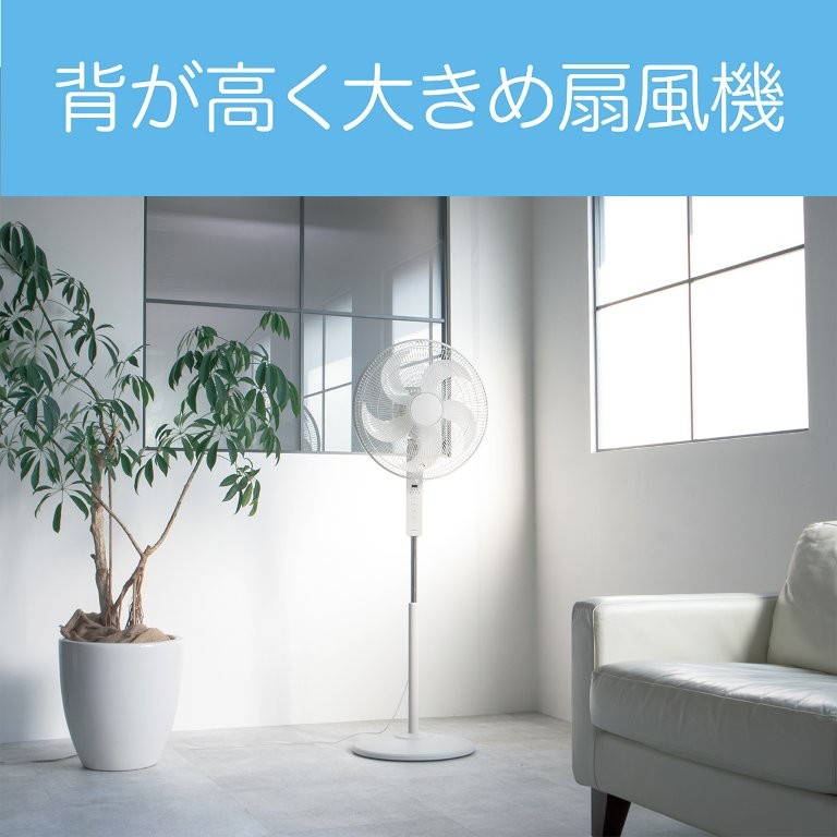 �w�������A�H���a��40cm�Ƒ傫��