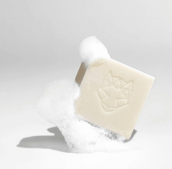 �V�����v�[�o�[�̖��͂ɂ���