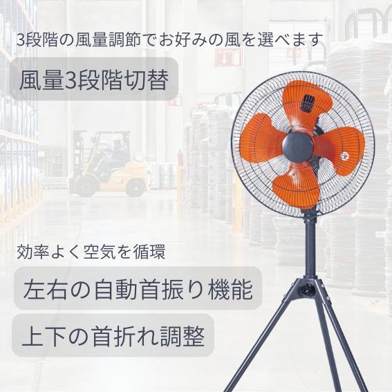 �p�r�ɉ����đI�ׂ镗��3�i�K�{��U�聕�p�x�����\