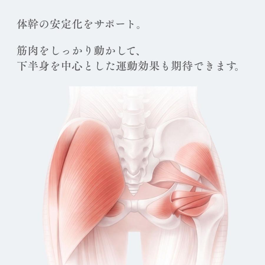 �c�C�X�g���̊��̈��艻���T�|�[�g�B