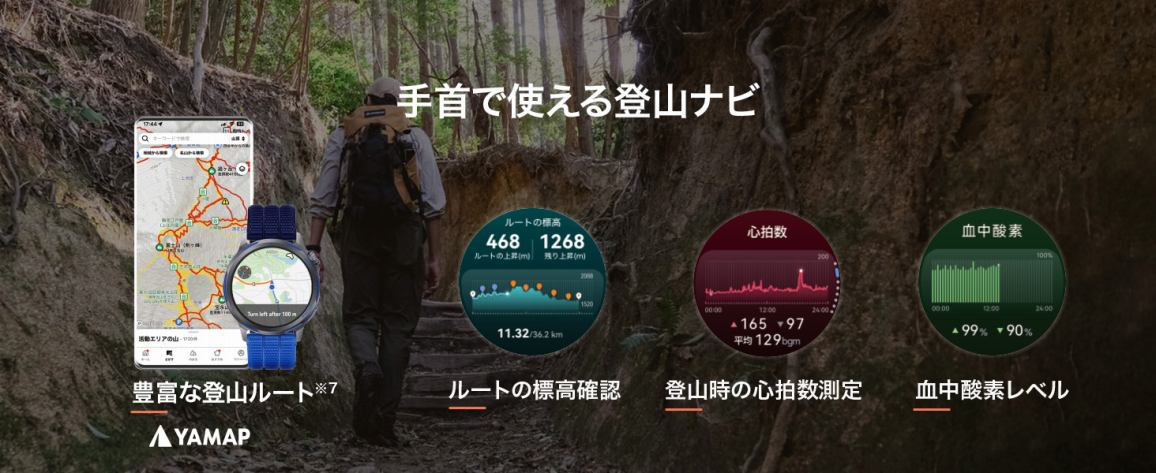 ���Ŏg����o�R�i�r