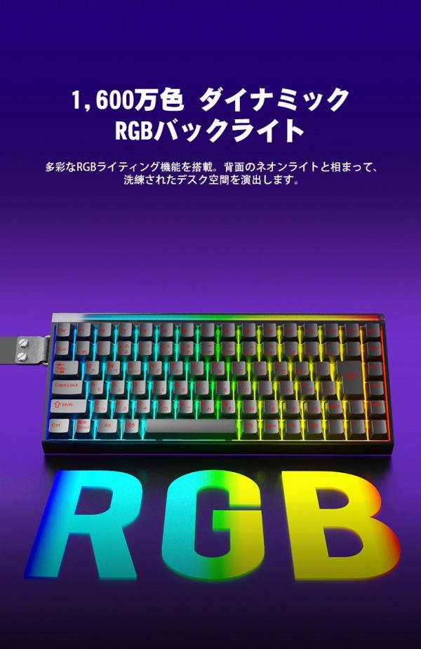 1600���F�@�_�C�i�~�b�NRGB�o�b�N���C�g