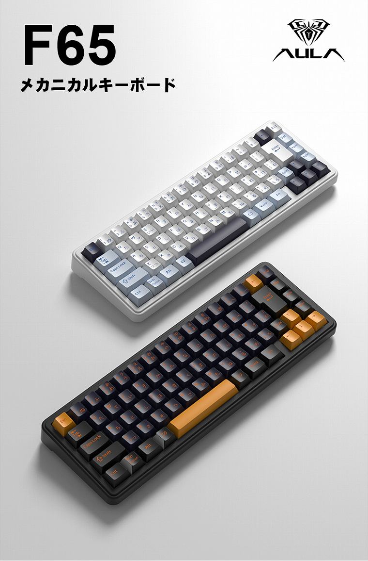 F65�@���J�j�J���L�[�{�[�h