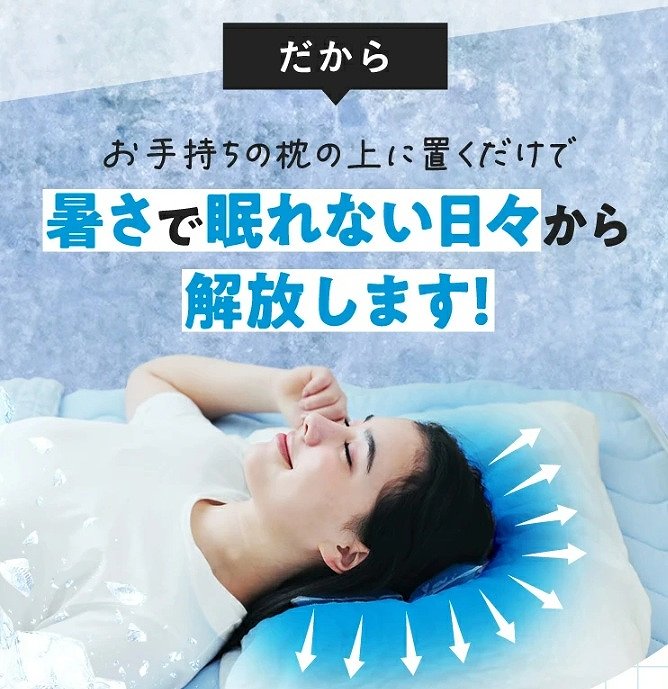 ���莝���̖��ɒu������