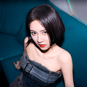 �y��჌�t�p���������Y SGAF25mmF1.8ZC(SV�zSTM����AF