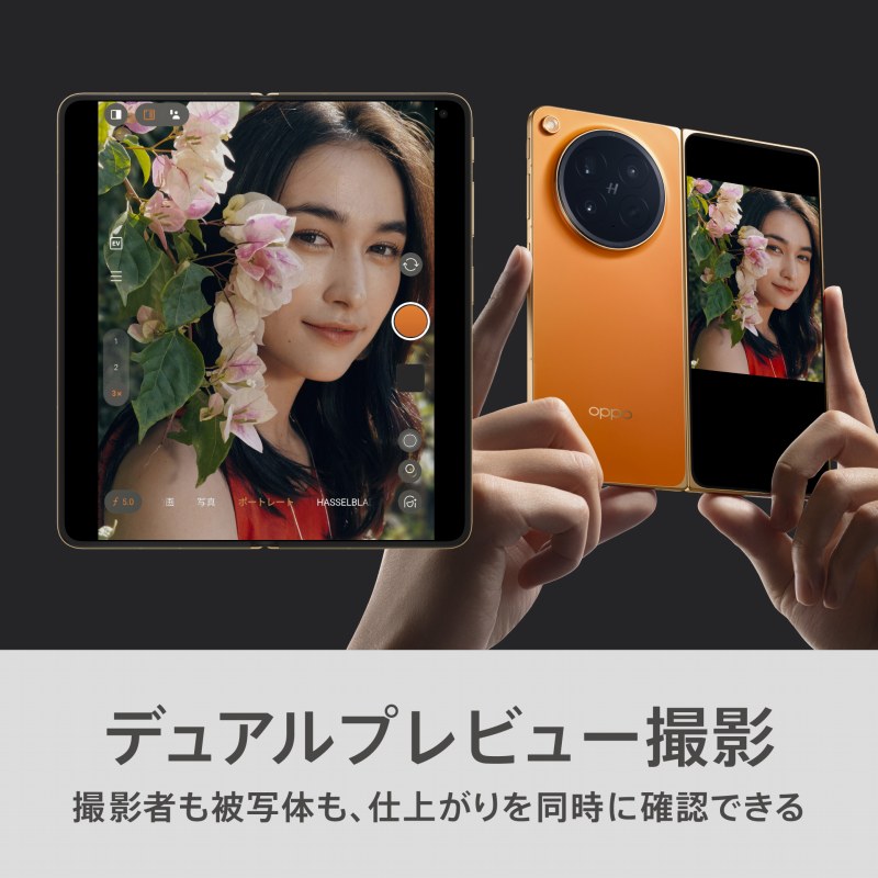 �f���A���v���r���[�B�e