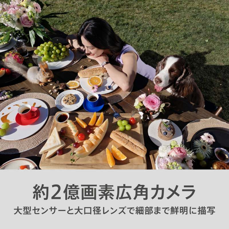 ��2����f�L�p�J����