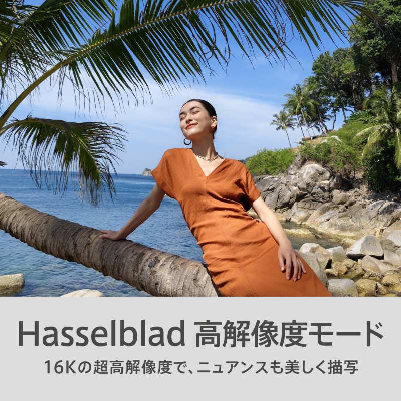 Hasselblad ���𑜓x���[�h