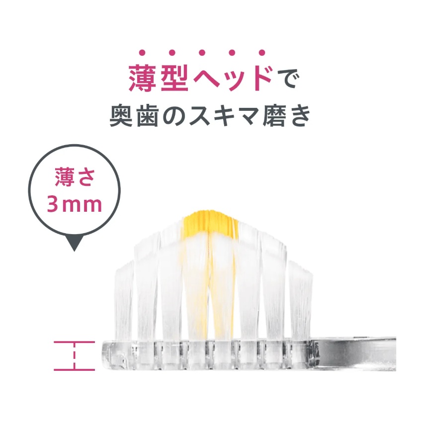 �v���~�A�����C����Ղ̎��u���V �X����